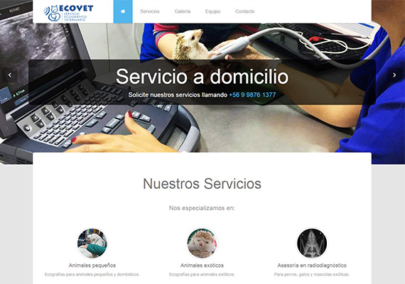 Sitio corporativo para clínica veterinaria móvil. Diseño, armado y programación de la web y el sistema autoadministrable.